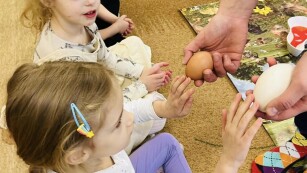 Dzieci poznają rodzaje jajek
