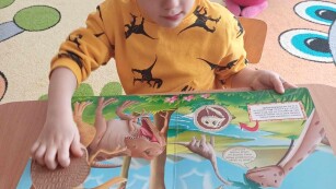 Chłopiec ogląda książkę z dinozaurami