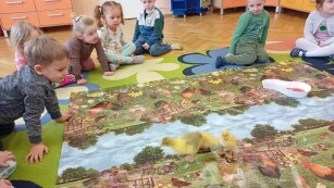 Dzieci w grupie wiewiórki siedzą na dywanie i obserwują zwierzęta