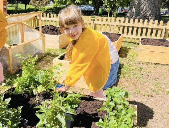 Dzieci sadzą warzywa w ogrodzie